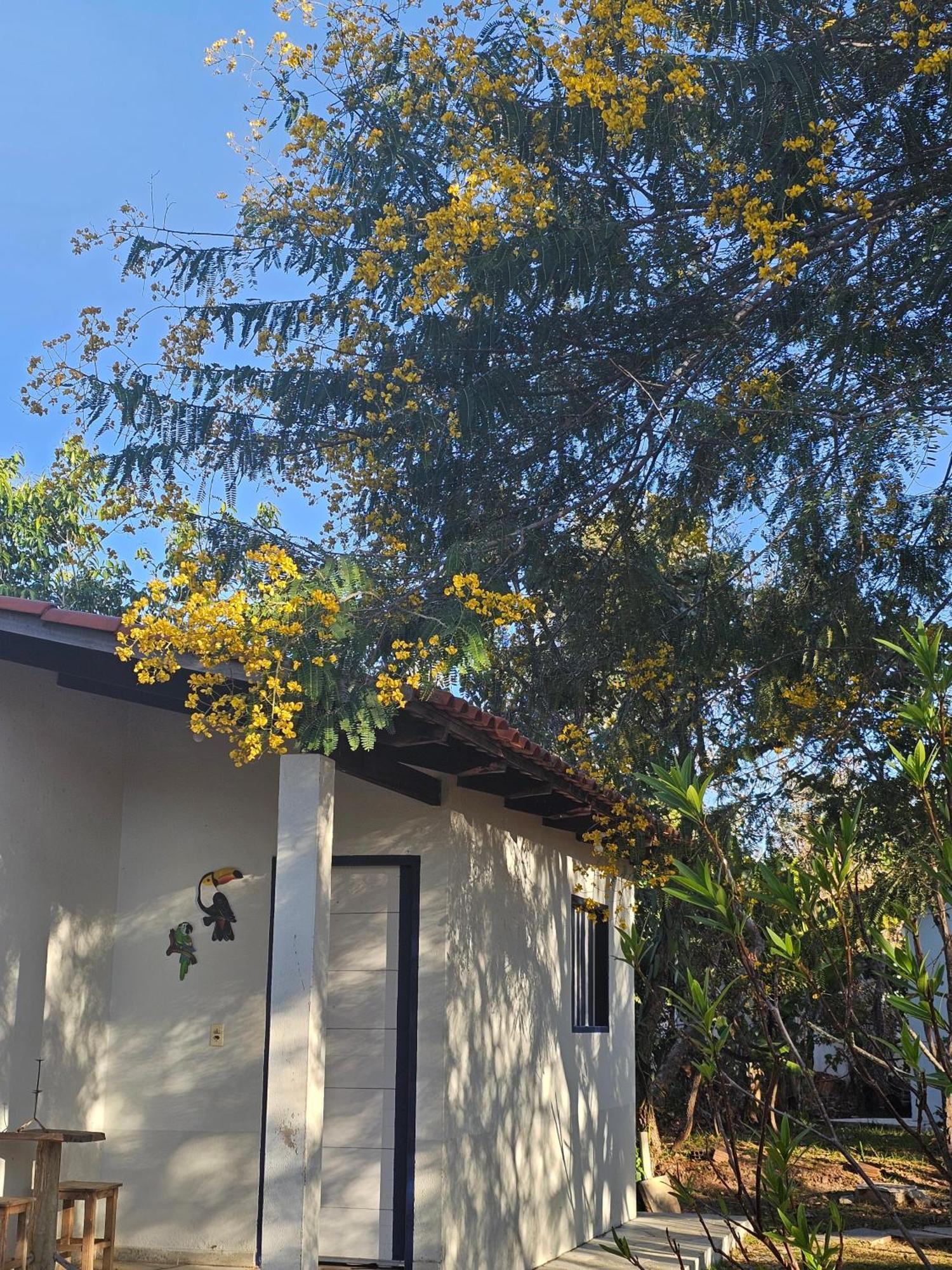 Estância Morro Do Frota Pirenópolis Extérieur photo